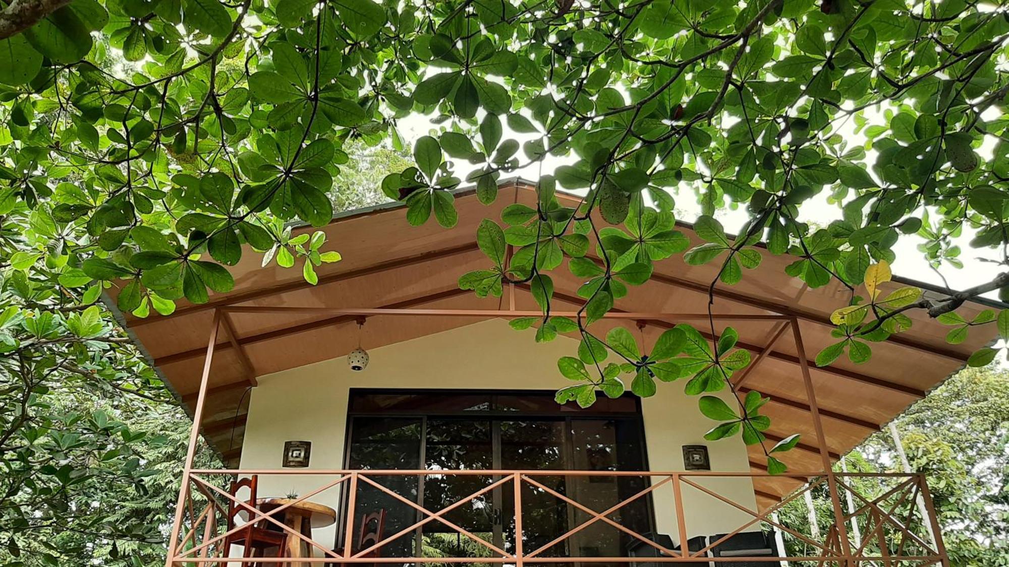 Casa Martina Apartment Cahuita Exterior photo